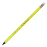 Карандаш чернографитный BIC, 1 шт., "Evolution Fluo", HB, с резинкой, пластиковый, корпус ассорти, заточенный, 942882 по низкой цене оптом 
