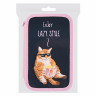 Пенал ПИФАГОР, 3 отделения, ламинированный картон, 19х11 см, Lazy cat, 272252 по низкой цене оптом 