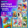 Карандаши цветные "АССОРТИ 8 ДИЗАЙНОВ 7+ лет", 12 цветов, трехгранные, BRAUBERG, 182056 по низкой цене оптом 