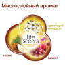 Сменный баллон 250 мл, AIRWICK Life Scents "Райское наслаждение", для автоматических освежителей, универсальный, 3007662 по низкой цене оптом 