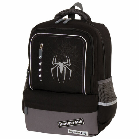 Рюкзак BRAUBERG STAR, "Spider", черный, 40х29х13 см, 229978 по низкой цене оптом 