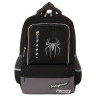Рюкзак BRAUBERG STAR, "Spider", черный, 40х29х13 см, 229978 по низкой цене оптом 