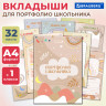 Листы-вкладыши для портфолио ШКОЛЬНИКА, 30 разделов, 32 листа, ШКОЛЬНОЕ ПОРТФОЛИО, BRAUBERG, 116369 по низкой цене оптом 