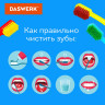 Зубные щетки, набор 4 штуки, для взрослых и детей, СРЕДНЕ-МЯГКИЕ (MEDIUM SOFT), DASWERK, 608213 по низкой цене оптом 