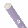 Карандаш чернографитный BRAUBERG "PREMIUM TURKEY", 1 шт., "Pastel", НВ, ассорти, дисплей по низкой цене оптом 