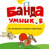 Игра головоломка развивающая "BRAINY TRAINY. Железная логика" 80 карточек, BRAINY TRAINY, УМ548 по низкой цене оптом Краснодар, Москва, Уфа, Казань, Барнаул, Владивосток, Хабаровск, Сахалин, Красноярск, Екатеренбург, 