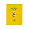 Тетради предметные, КОМПЛЕКТ 10 ПРЕДМЕТОВ, AVOCADO, 48 л., глянцевый УФ-лак, BRAUBERG, 404325 по низкой цене оптом 