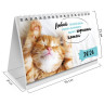 Календарь-домик настольный на гребне, 2026 г., BRAUBERG, 160х110 мм, 6 листов, "Котики", 117296 по низкой цене оптом 