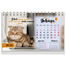 Календарь-домик настольный на гребне, 2026 г., BRAUBERG, 160х110 мм, 6 листов, "Котики", 117296 по низкой цене оптом 