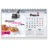 Календарь-домик настольный на гребне, 2026 г., BRAUBERG, 160х110 мм, 6 листов, "Котики", 117296 по низкой цене оптом 