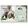 Календарь-домик настольный на гребне, 2026 г., BRAUBERG, 160х110 мм, 6 листов, "Котики", 117296 по низкой цене оптом 