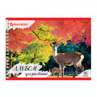 Альбом для рисования, А4, 40 л., гребень, обложка картон, BRAUBERG ЭКО, 205х290 мм, "Дикий лес" (1 вид), 105107