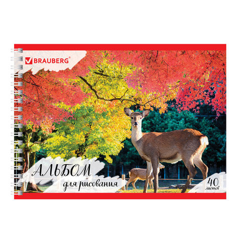 Альбом для рисования, А4, 40 л., гребень, обложка картон, BRAUBERG ЭКО, 205х290 мм, "Дикий лес" (1 вид), 105107 по низкой цене оптом 