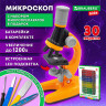 Микроскоп с подсветкой, 30 предметов, в т.ч. набор из 12 микропрепаратов в подарок, увеличение 100х, 400х, 1200х, BRAUBERG KIDS, 391400 по низкой цене оптом 