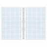 Тетрадь А4, 80 л., BRAUBERG, гребень, клетка, обложка картон, Discover, 404050 по низкой цене оптом 