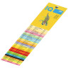 Бумага цветная IQ color, А4, 80 г/м2, 100 л., интенсив, оранжевая, OR43 по низкой цене оптом 
