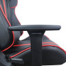 Кресло компьютерное BRABIX "GT Carbon GM-120", две подушки, экокожа, черное/красное, 531931 по низкой цене оптом 