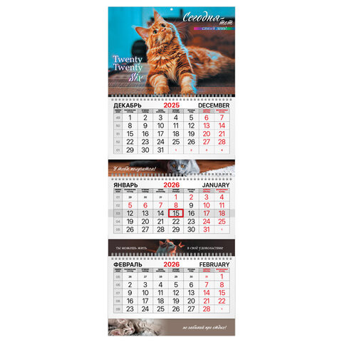 Календарь квартальный 2026г, 3 блока 3 гребня бегунок, мелованная бумага, BRAUBERG EXTRA, Кошечки, 116824 по низкой цене оптом 