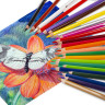 Карандаши цветные акварельные BRAUBERG PREMIUM AQUARELLE, 36 цветов, грифель мягкий 4 мм, 181674 по низкой цене оптом 