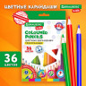 Карандаши цветные BRAUBERG KIDS NEW, 36 цветов, трехгранный корпус, грифель 3 мм, 182003 по низкой цене оптом 