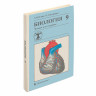Пленка самоклеящаяся для учебников и книг, 45х30 см, комплект 10 шт., глянцевая, ПИФАГОР, 227202 по низкой цене оптом Краснодар, Москва, Уфа, Казань, Барнаул, Владивосток, Хабаровск, Сахалин, Красноярск, Екатеренбург, 