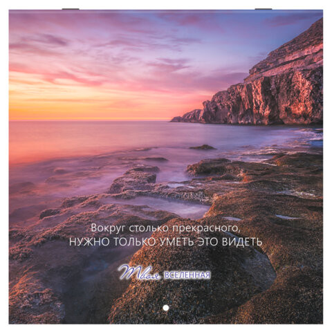 Календарь настенный перекидной 2026г, BRAUBERG, 12 листов, 28,5х28,5см, Твоя вселенная, 116924 по низкой цене оптом Календарь настенный перекидной 2026г, BRAUBERG, 12 листов, 28,5х28,5см, Твоя вселенная, 116924 по низкой цене оптом