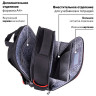 Ранец BRAUBERG FIT, 2 отделения, "Colorful lion", 38х27х14 см, 270618 по низкой цене оптом 