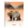 Тетрадь А4, 80 л., BRAUBERG, гребень, клетка, глянцевый лак, WILD, 404052 по низкой цене оптом 