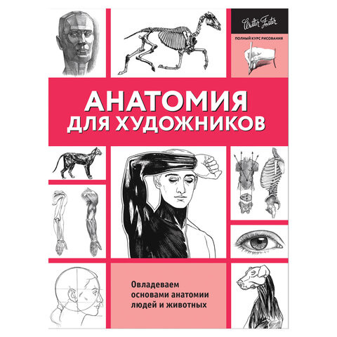 Анатомия для художников, 831445 по низкой цене оптом Краснодар, Москва, Уфа, Казань, Барнаул, Владивосток, Хабаровск, Сахалин, Красноярск, Екатеренбург, 