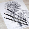 Карандаши угольные BRAUBERG ART CLASSIC, НАБОР 12 шт, заточенные, (МЯГКИЙ, СРЕДНИЙ, ТВЕРДЫЙ), 181293 по низкой цене оптом 