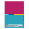Тетрадь А4, 80 л., BRAUBERG, гребень, клетка, обложка твердая, "Color", 404055 по низкой цене оптом 