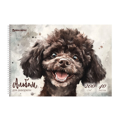 Альбом для акварели А4 40л., бумага 200 г/м, гребень, твердая подложка, BRAUBERG, Дизайн 1, 116885 по низкой цене оптом 