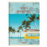 Тетрадь А4, 96 л., BRAUBERG, гребень, клетка, обложка картон, "Adventures", 404056 по низкой цене оптом 
