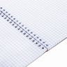 Блокнот БОЛЬШОЙ ФОРМАТ (200х290 мм), А4, 80 л., гребень, картон, УФ-лак, клетка, ПЗБМ, Крафт, 099529 по низкой цене оптом 