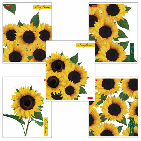 Тетрадь А5 80 л. HATBER скоба, клетка, глянцевая ламинация, SUNFLOWERS (5 видов), 80Т5лВ1 по низкой цене оптом 