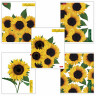 Тетрадь А5 80 л. HATBER скоба, клетка, глянцевая ламинация, SUNFLOWERS (5 видов), 80Т5лВ1 по низкой цене оптом 