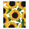 Тетрадь А5 80 л. HATBER скоба, клетка, глянцевая ламинация, SUNFLOWERS (5 видов), 80Т5лВ1 по низкой цене оптом 