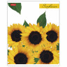 Тетрадь А5 80 л. HATBER скоба, клетка, глянцевая ламинация, SUNFLOWERS (5 видов), 80Т5лВ1 по низкой цене оптом 