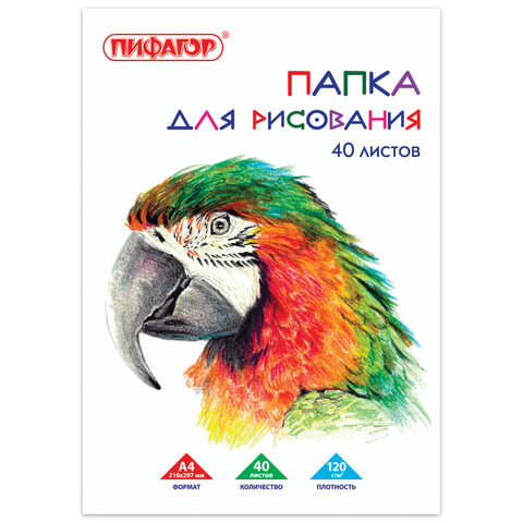 Папка для рисования, А4, 40 л., 120 г/м2, ПИФАГОР, 210х297 мм, "Попугай", 129222 по низкой цене оптом Краснодар, Москва, Уфа, Казань, Барнаул, Владивосток, Хабаровск, Сахалин, Красноярск, Екатеренбург, 
