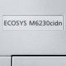 МФУ лазерное ЦВЕТНОЕ KYOCERA ECOSYS M6230cidn "3 в 1", А4, 30 страниц/мин, ДУПЛЕКС, АПД, сетевая карта, 1102TY3NL1 по низкой цене оптом 