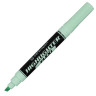 Текстовыделитель CENTROPEN "Flexi", ПАСТЕЛЬНЫЙ ЗЕЛЕНЫЙ, гибкий наконечник, 1-5 мм, 8542, 4 8542 0160 по низкой цене оптом Краснодар, Москва, Уфа, Казань, Барнаул, Владивосток, Хабаровск, Сахалин, Красноярск, Екатеренбург, 
