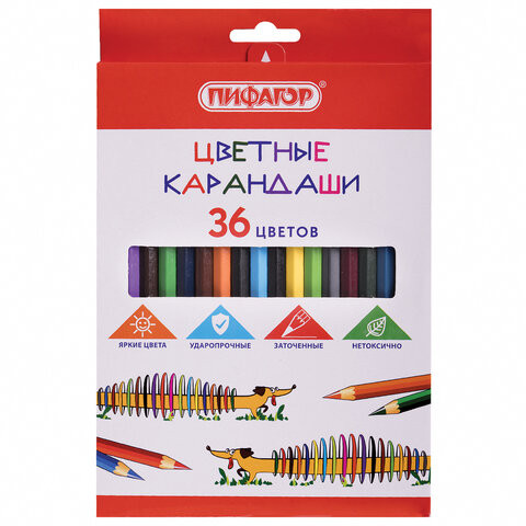 Карандаши цветные ПИФАГОР "Веселая такса", 36 цветов, классические, заточенные, 181809 по низкой цене оптом Краснодар, Москва, Уфа, Казань, Барнаул, Владивосток, Хабаровск, Сахалин, Красноярск, Екатеренбург, 