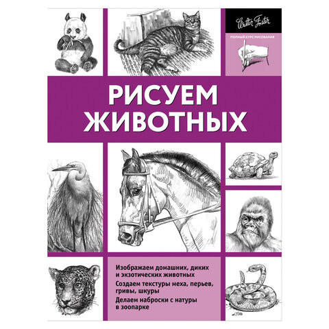 Рисуем животных, 827259 по низкой цене оптом Краснодар, Москва, Уфа, Казань, Барнаул, Владивосток, Хабаровск, Сахалин, Красноярск, Екатеренбург, 