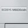 МФУ лазерное ЦВЕТНОЕ KYOCERA ECOSYS M6630cidn "4 в 1", А4, 30 страниц/мин, ДУПЛЕКС, АПД, сетевая карта, 1102TZ3NL1 по низкой цене оптом 