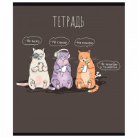 Тетрадь 24л. ПЗБМ клетка, выборочный лак, брайль, Умный мышонок (микс в спайке), 13881