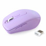 Мышь беспроводная бесшумная SMARTBUY SBM-611AG-V, USB, 4 кнопки+1 колесо, оптическая, лиловая 02033 по низкой цене оптом 