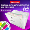Папка-органайзер на резинке 8 отделений, BRAUBERG Glassy, А4, прозрачная, 271928 по низкой цене оптом 