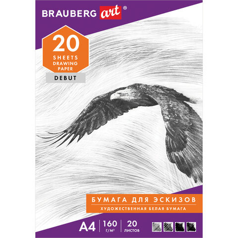 Папка для рисования А4, 20 л., 160 г/м2, BRAUBERG, 210х297 мм, "Орел", 125230 по низкой цене оптом Краснодар, Москва, Уфа, Казань, Барнаул, Владивосток, Хабаровск, Сахалин, Красноярск, Екатеренбург, 