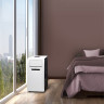 Кондиционер мобильный ELECTROLUX Manhattan EACM-09 FM/N3, площадь помещения до 22 кв.м., НС-1292431 по низкой цене оптом 