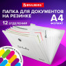 Папка-органайзер на резинке 12 отделений, BRAUBERG Glassy, А4, прозрачная, 271929 по низкой цене оптом 